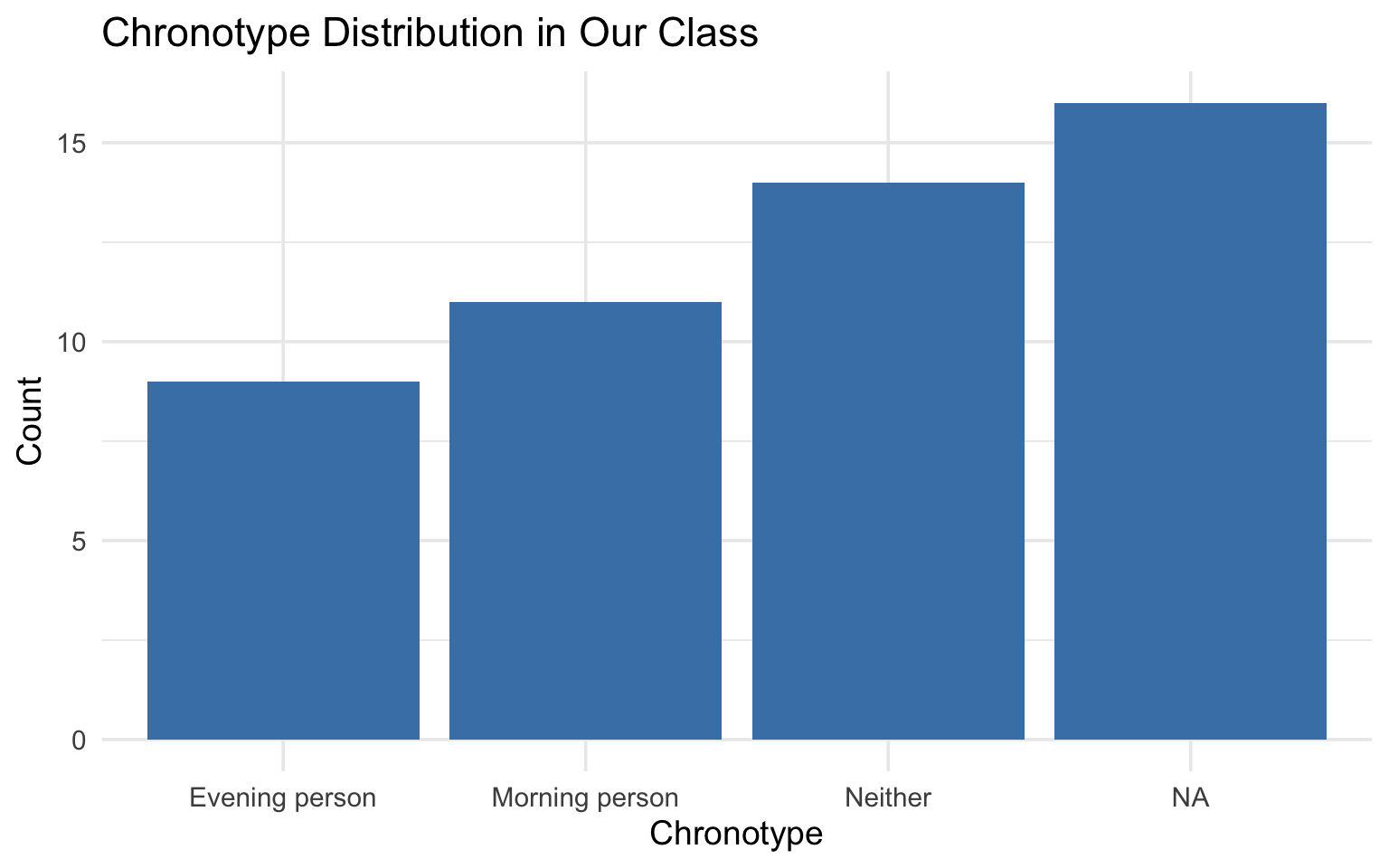 Bar chart of chronotype distribution showing counts of students who identify as morning person, evening person, or neither.