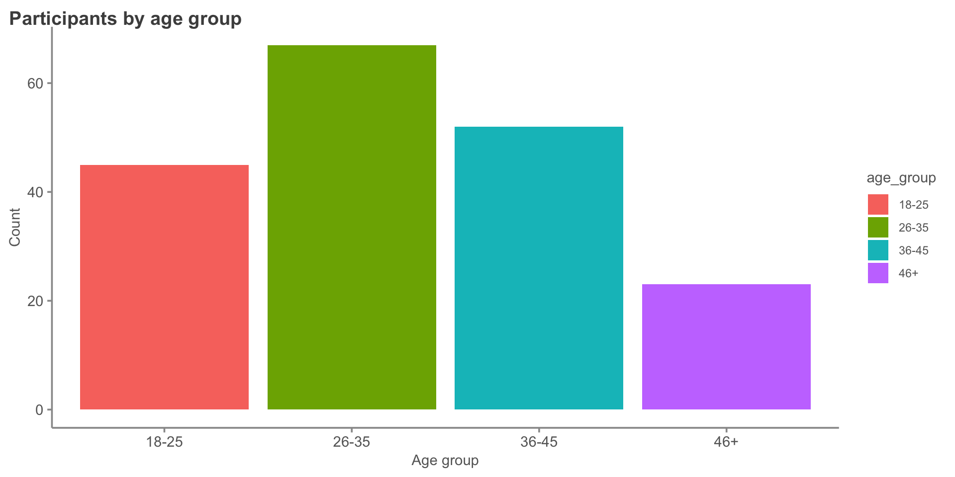 Bar chart of participant counts by age group using four different fill colors, one per bar. The rainbow coloring adds no information since the x-axis already identifies each group.