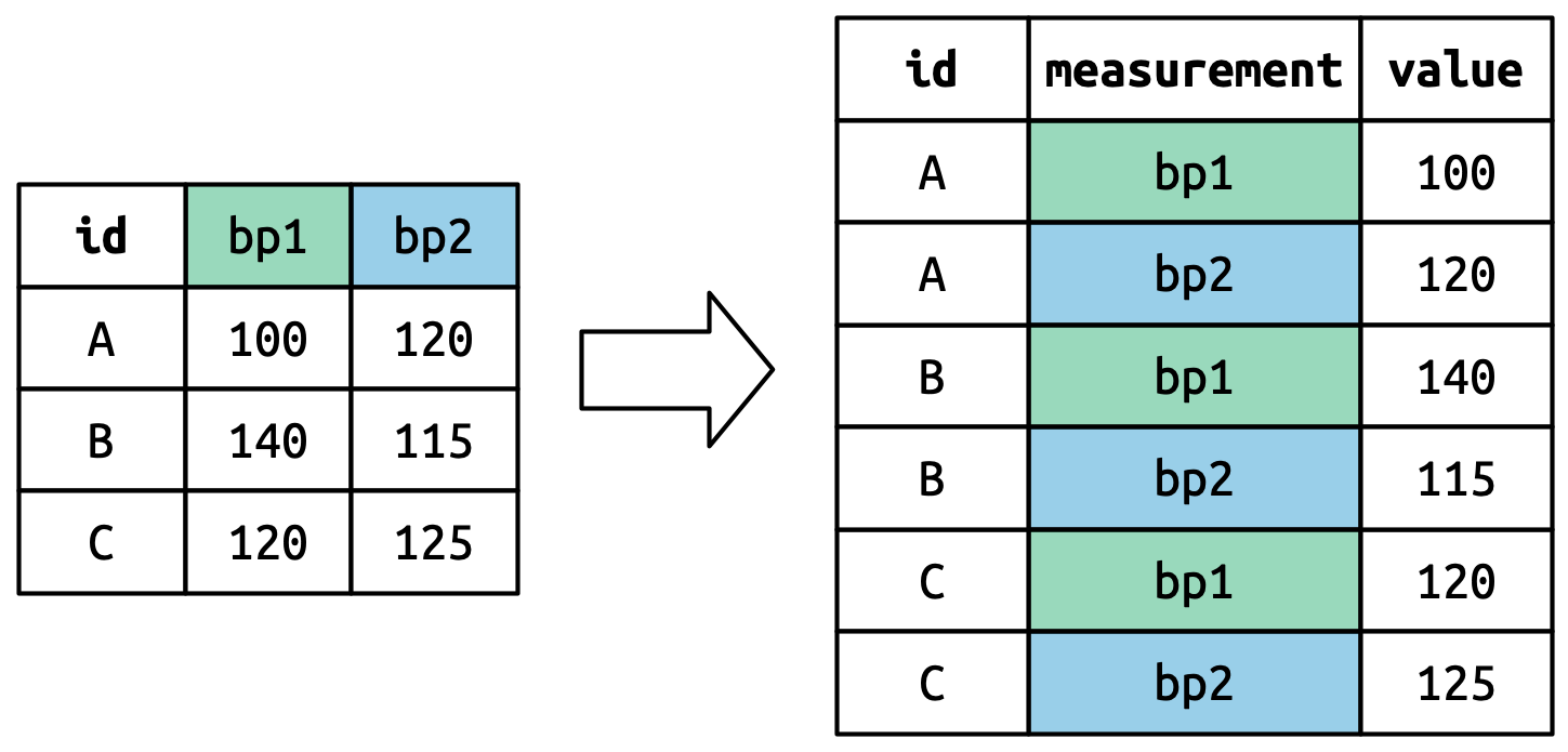 Same transformation diagram, now highlighting the column headers bp1 and bp2 in the wide format, showing they become values in the measurement column of the long data frame.