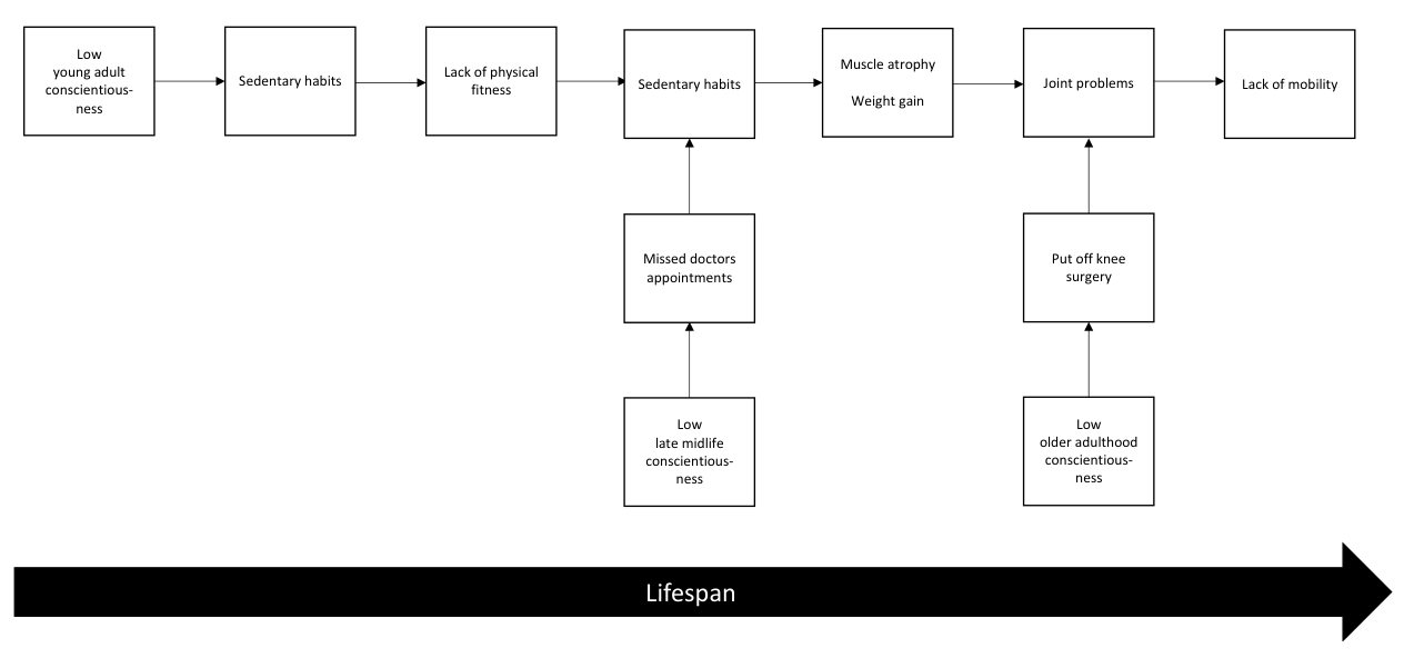 A Lifespan perspective on the interconnections between personality, health, and optimal aging